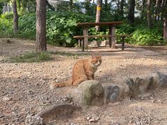 -北京西山国家森林公园