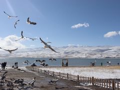 -青海湖国家重点风景名胜区