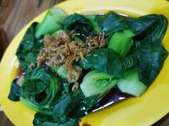 油菜-正正文志记猪什汤