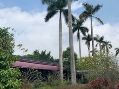 大堂-花溪雨·森林餐厅(石基店)
