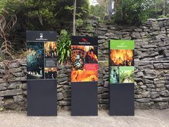 -怀托摩萤火虫洞