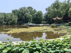 -文瀛公园