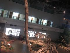 -自贡恐龙博物馆