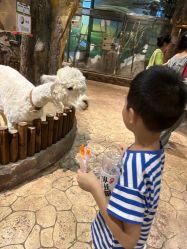 -宝燕乐园(闵行旗舰店)