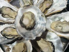 -蚝堡海鲜·威海菜·海肠捞饭·烧烤·亚洲吃蚝公司(幸福门店)