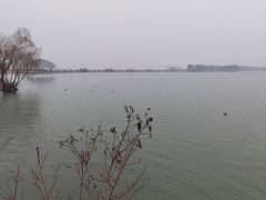 -贡湖湾湿地公园
