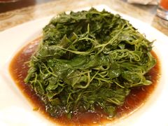 金花菜酒香-新聚丰菜馆(太监弄店)