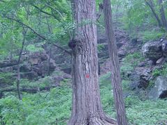 -北京上方山国家森林公园