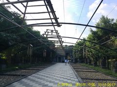 -森波拉火山温泉