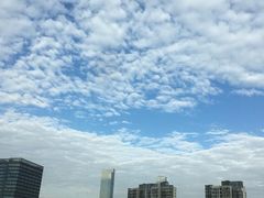 -小菜园新徽菜(无锡宜家荟聚中心店)