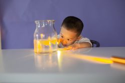 -DORA kids 朵拉儿童摄影花园店