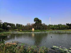 -映月湖公园