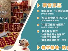 -联合动物医院(光谷诊疗中心)
