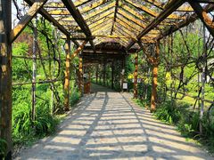 -河北霸州茗汤日月潭温泉