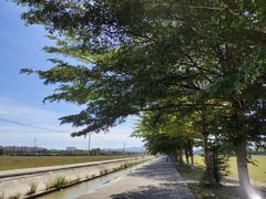 -林旺社区水果市场