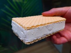 索菲亚威化牛奶冰淇淋-水果地带(中航国际店)