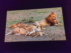 -罗红摄影艺术馆