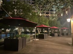 -上海闵行星河湾酒店
