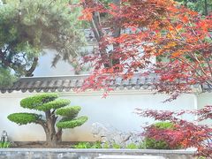 -北宫国家森林公园