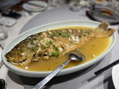 黄河大鲤鱼-商都酒店( 北京南站店)