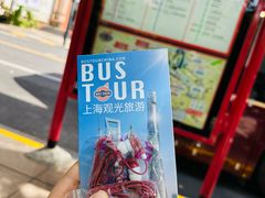 -BUS TOUR观光巴士