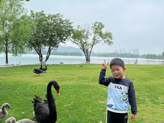 -长兴太湖图影湿地文化园