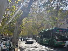 -禾珍珠家常小馆(河南博物院店)