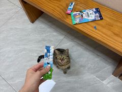 -瑞鹏宠物医院·骨科·猫科·内科(第一中心)