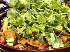 招牌鸡煲-凤兴鸡煲(宝安海雅店)
