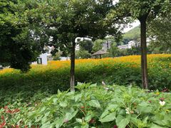 -乌石塘景区