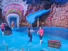 -烟台海昌鲸鲨海洋公园