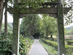 -白马涧龙池景区