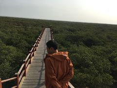 -北海金海湾红树林生态旅游区