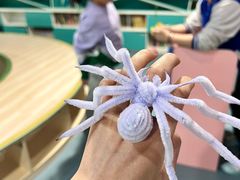 -顺德南宏海立方海洋公园