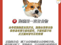 -佩兹宠物医院肿瘤专科·眼科·牙科(黄浦店)