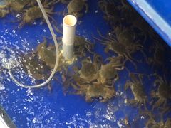 -阳澄湖大闸蟹·琼灵阁牌品牌连锁(吴中总店)