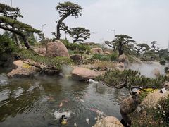 -罗红摄影艺术馆