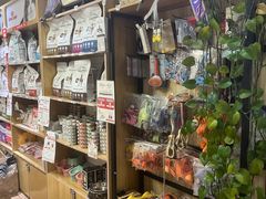 -中农大我爱我爱24h动物医院·中医针灸·猫专科·骨科医疗中心(双井店)