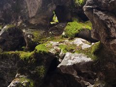 -东山雕花楼