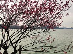 -长广溪湿地公园