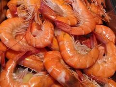 -胶东海鲜大排档(北太平庄店)