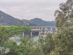 -阳台山森林公园