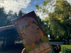 -北京野生动物园