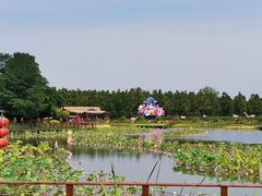 -东平国家森林公园