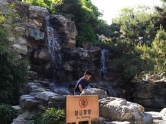 -团结湖公园