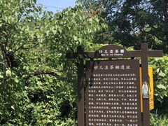 -阳台山自然风景区