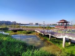 -立新湖公园