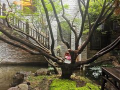 -鱼桥巷·美学川菜