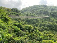-亚龙湾热带天堂森林公园