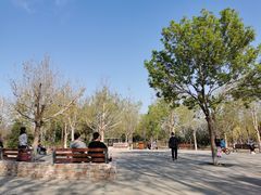 长凳休息区-回龙观体育文化公园